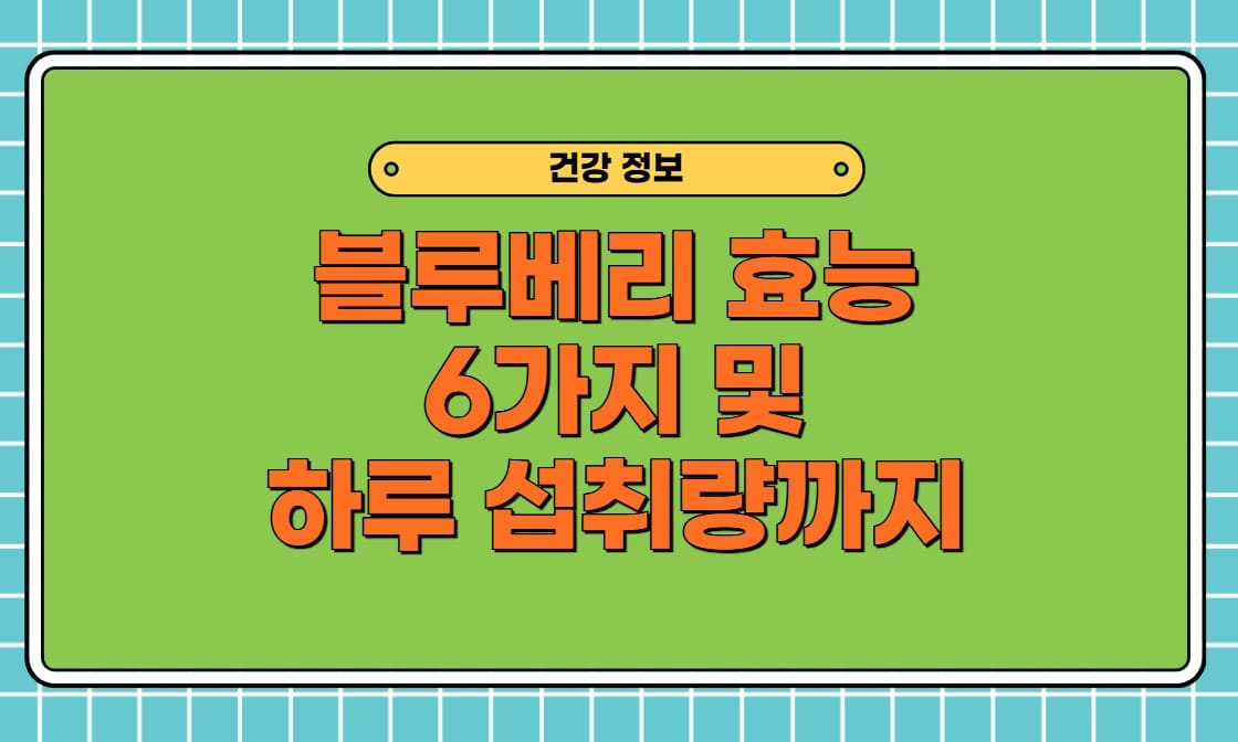슈퍼푸드 블루베리 효능 6가지! 블루베리즙·주스·생·건·우유 및 많이 먹으면 하루 섭취량까지