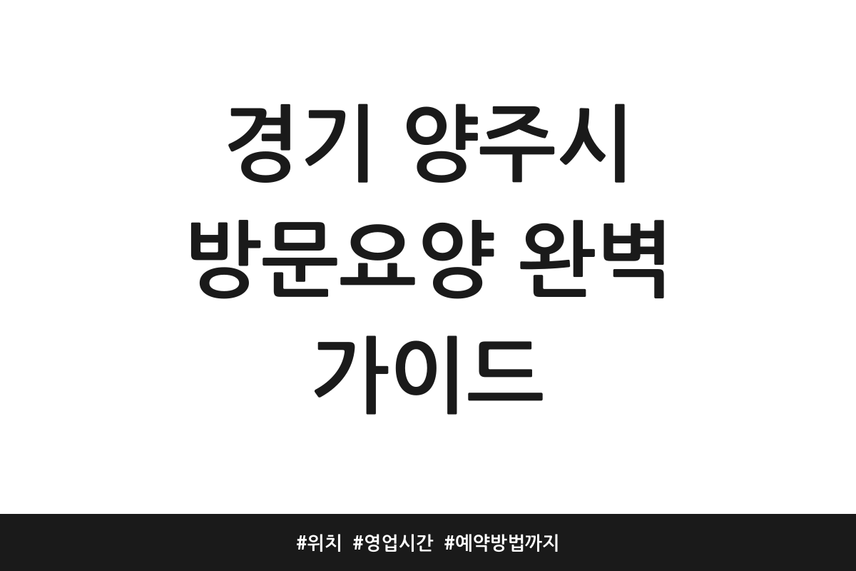 경기 양주시 방문요양